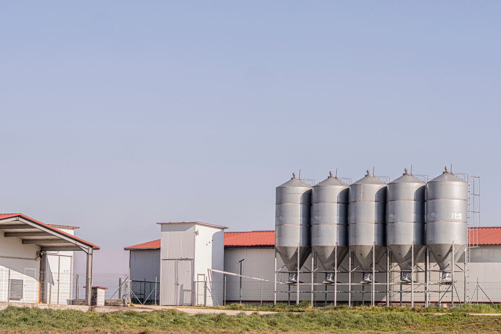 Grupo Operativo WELFARECUN